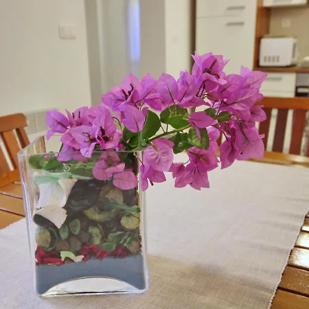 Apartment Wish Vela Luka فيلا لوكا